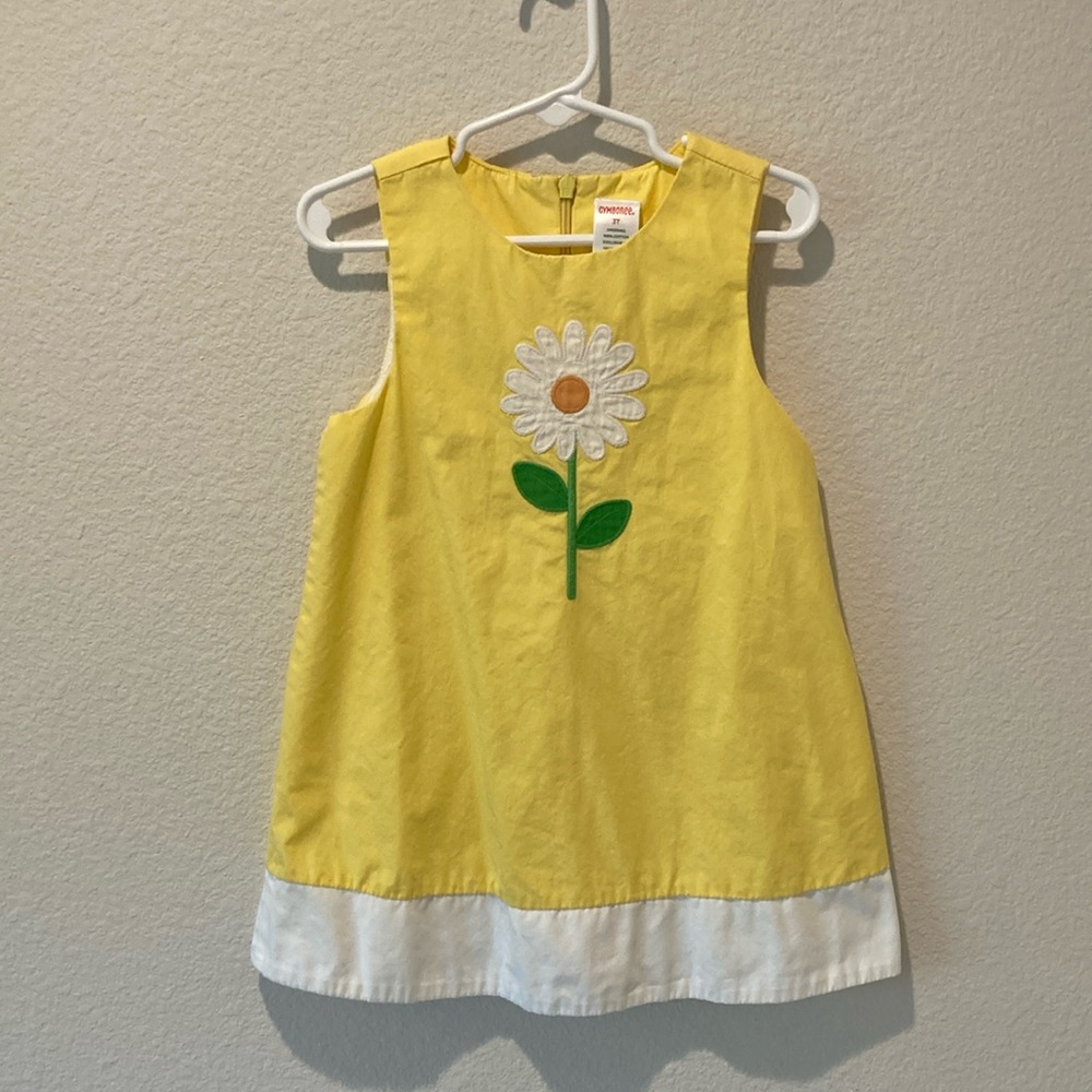 Gymboree Flower Shift Dress